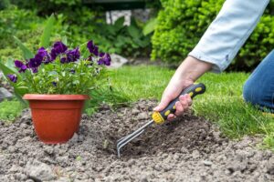Fun things to do at Home Alone such as gardening and painting.