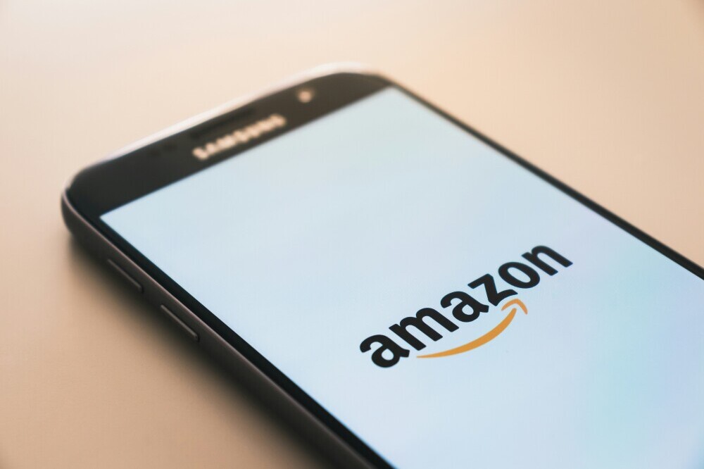 Amazon Ring is the best home security for pets.