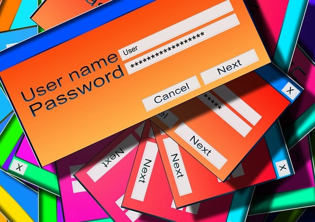 Identity theft protection for women