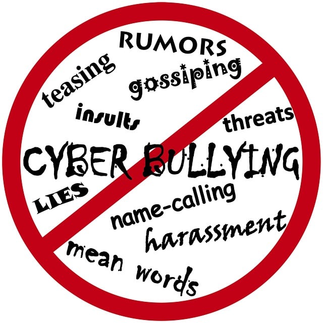 cyber harassment